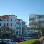 Silbermoewe